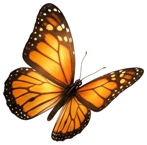 Hero Capa 6B - Mariposa Naranja (PNG Transparente)